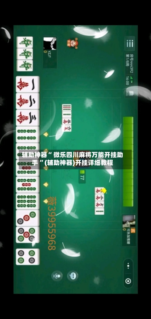 辅助神器“ 微乐四川麻将万能开挂助手 ”(辅助神器)开挂详细教程-第2张图片