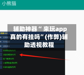 辅助神器“ 来玩app真的有挂吗	”(作弊)辅助透视教程-第1张图片