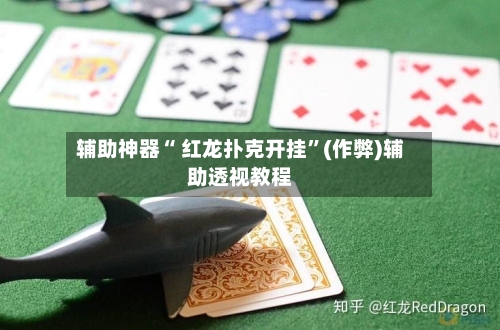 辅助神器“ 红龙扑克开挂	”(作弊)辅助透视教程-第3张图片