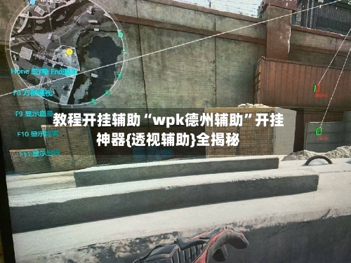教程开挂辅助“wpk德州辅助”开挂神器{透视辅助}全揭秘-第1张图片