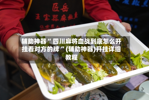 辅助神器“ 四川麻将血战到底怎么开挂看对方的牌 ”(辅助神器)开挂详细教程-第3张图片