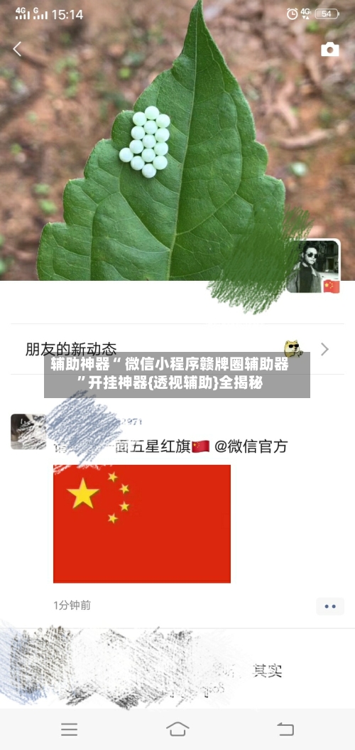 辅助神器“ 微信小程序赣牌圈辅助器”开挂神器{透视辅助}全揭秘-第1张图片