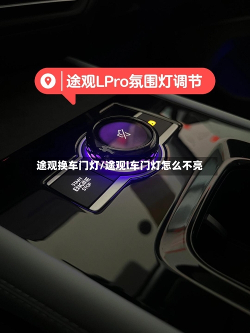 途观换车门灯/途观l车门灯怎么不亮-第1张图片
