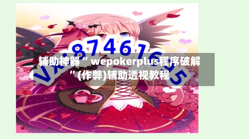 辅助神器“ wepokerplus程序破解	”(作弊)辅助透视教程-第3张图片
