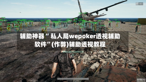 辅助神器“ 私人局wepoker透视辅助软件	”(作弊)辅助透视教程-第1张图片