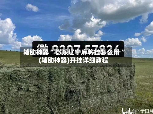 辅助神器“ 微乐辽宁麻将挂怎么用 	”(辅助神器)开挂详细教程-第1张图片