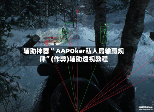 辅助神器“ AAPOker私人局输赢规律”(作弊)辅助透视教程-第3张图片