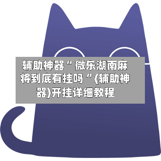 辅助神器“ 微乐湖南麻将到底有挂吗 ”(辅助神器)开挂详细教程-第3张图片