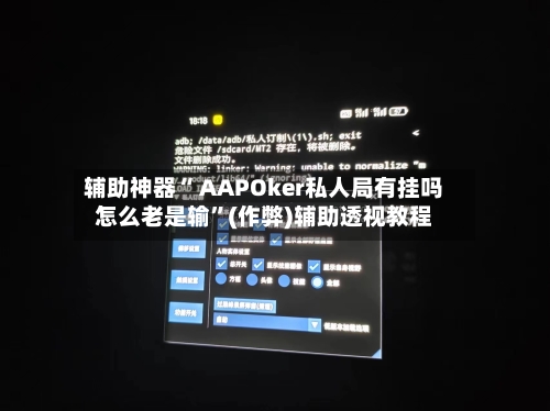 辅助神器“ AAPOker私人局有挂吗怎么老是输”(作弊)辅助透视教程-第2张图片