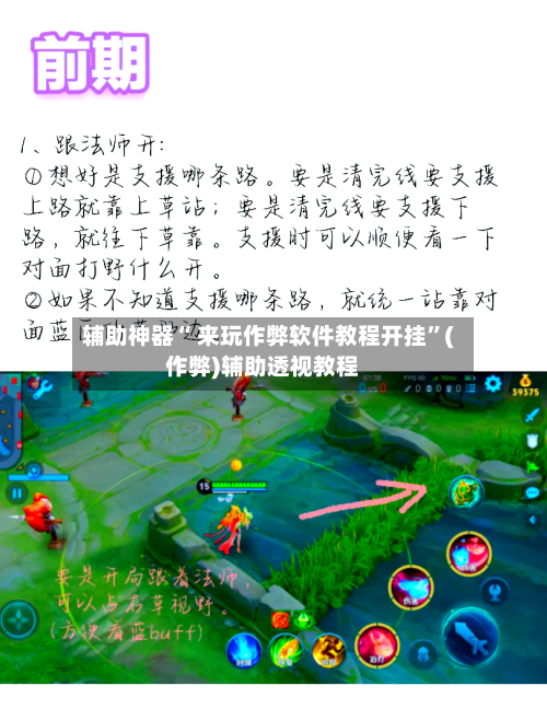 辅助神器“ 来玩作弊软件教程开挂”(作弊)辅助透视教程-第2张图片