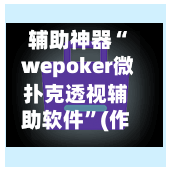 辅助神器“ wepoker微扑克透视辅助软件”(作弊)辅助透视教程-第3张图片