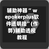 辅助神器“ wepokerplus软件透明挂”(作弊)辅助透视教程-第2张图片