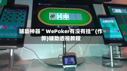 辅助神器“ WePoker有没有挂”(作弊)辅助透视教程-第2张图片