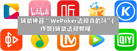 辅助神器“ WePoker透视真的吗”(作弊)辅助透视教程-第1张图片