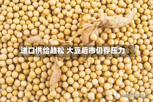 进口供给趋松 大豆后市仍存压力-第1张图片