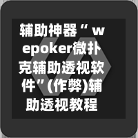 辅助神器“ wepoker微扑克辅助透视软件	”(作弊)辅助透视教程-第1张图片